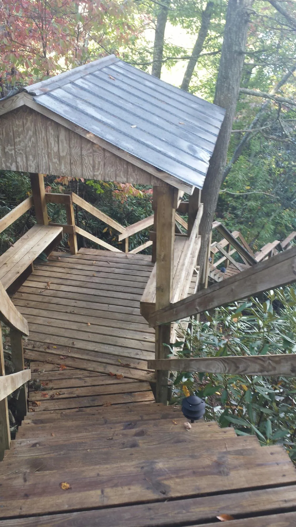 Metal roofed shelter over wooden steps on a wooded walkway — Skylight Repair & Installation work by our crew in Dilworth